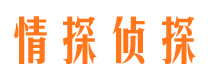 岳阳楼市私家侦探